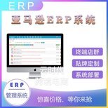 亞馬遜倉儲erp物流對接財物儲值系統erp貼牌OEM定制開發(fā)
