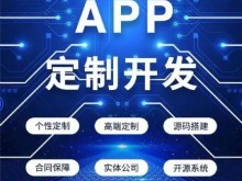 衡陽軟件開發(fā)公司