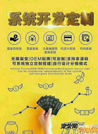 代還app專業(yè)的系統(tǒng)軟件定制開發(fā)公司